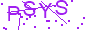 驗證碼 PSYS